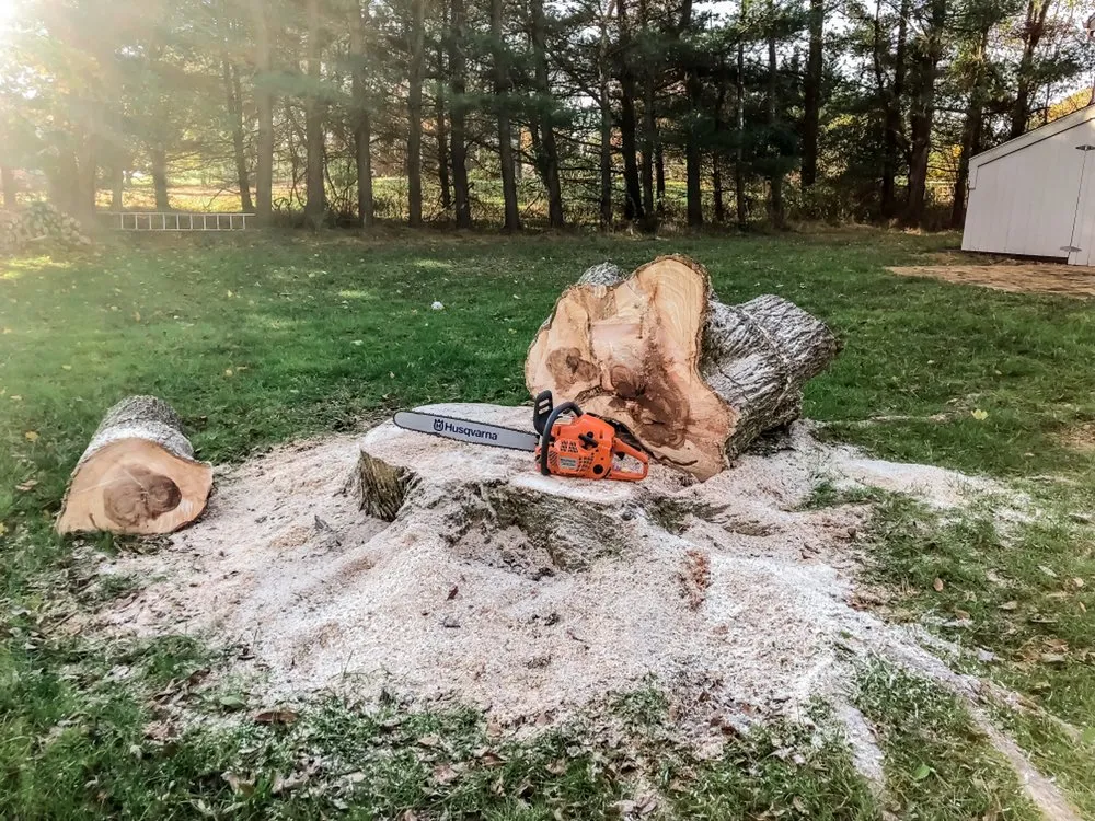 Reliable outdoor landscaping experts serving Belle Mead, NJ - RPLawns