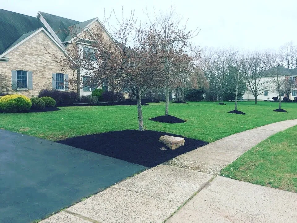 Expert lawn care service in Belle Mead, NJ - RPLawns
