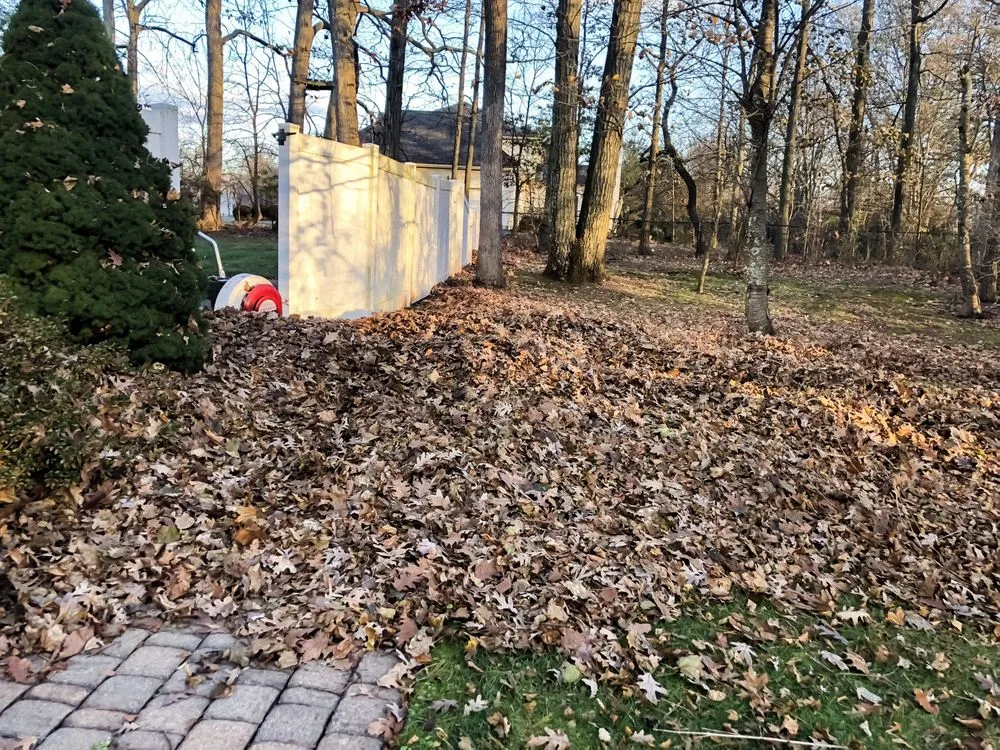 Expert landscaping services in Belle Mead, NJ - RPLawns