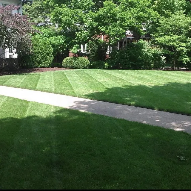 Trusted landscape design experts serving Champaign, IL - RPM Improvement Outdoor Services
