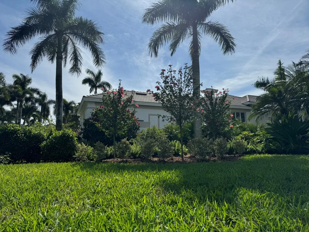 Expert lawn mowing service in Bonita Springs, FL - RPM Landscape & Design