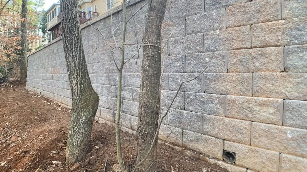 Reliable yard cleanup service in Acworth, GA - RPM Landscape and Pavers