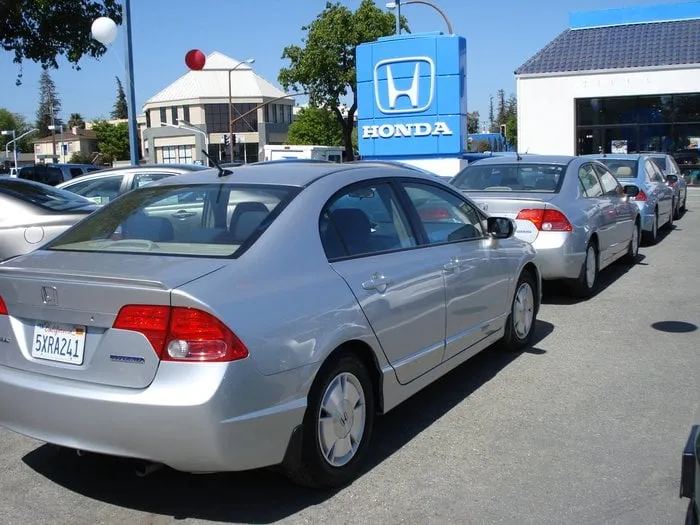 Custom landscape installation for year-round maintenance in Acworth, GA by RPM Landscape and Pavers