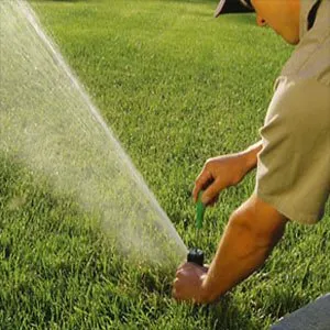 Expert landscape design in Folsom, NJ by RPM Landscape Contractor