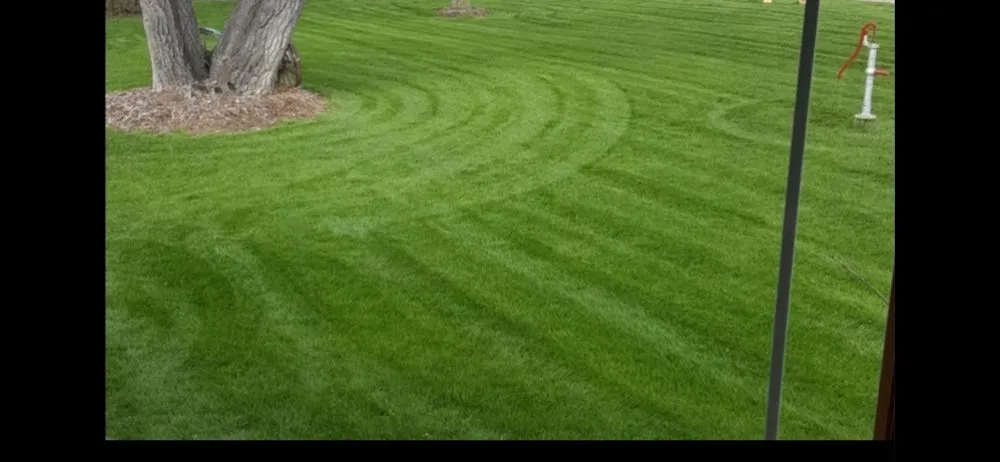 Trusted yard cleanup service in Great Falls, MT by RPM Lawn & Snow