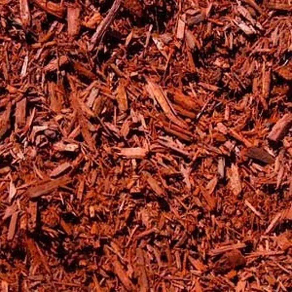 Affordable landscape installation for beautiful yards in Elgin, SC by R.P.M. Lawn Maintenance