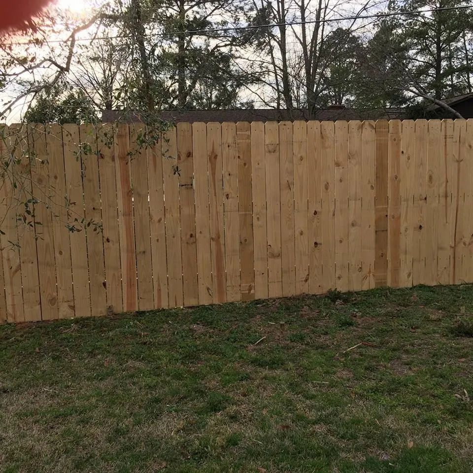 Professional yard cleanup service experts serving Elgin, SC - R.P.M. Lawn Maintenance