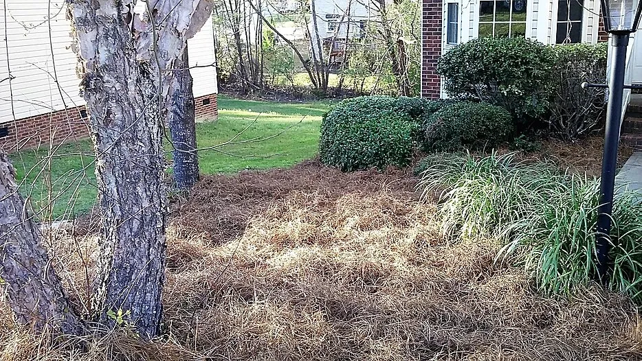 Trusted outdoor landscaping for beautiful yards across Elgin, SC - R.P.M. Lawn Maintenance