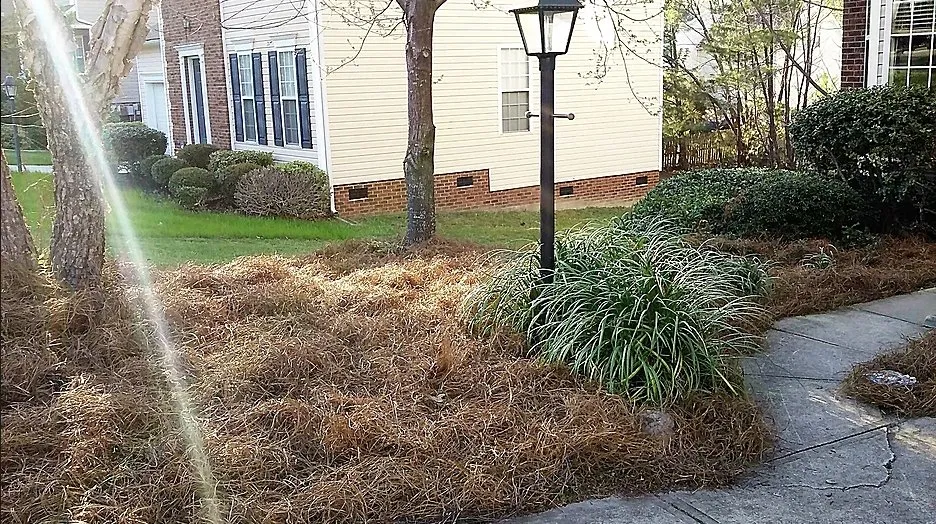Custom outdoor landscaping for outdoor upgrades across Elgin, SC - R.P.M. Lawn Maintenance