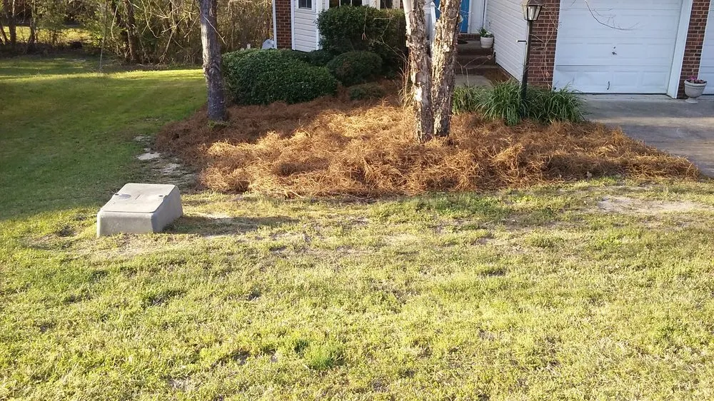 Reliable yard cleanup service for outdoor upgrades across Elgin, SC - R.P.M. Lawn Maintenance