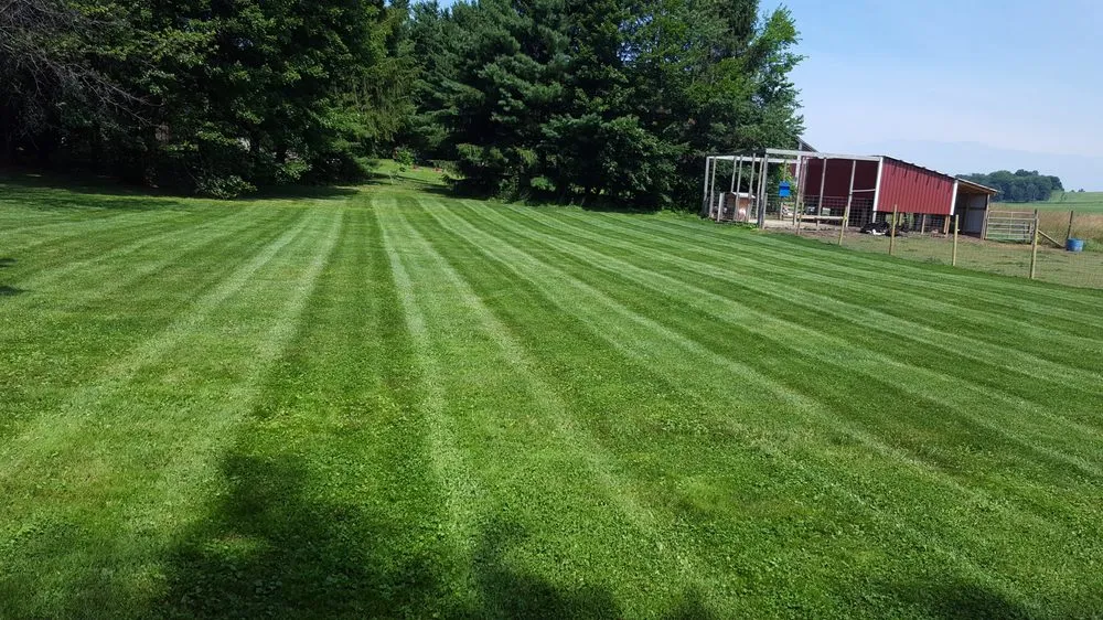 Affordable yard cleanup service in Louisville, OH by RPM LawnCare
