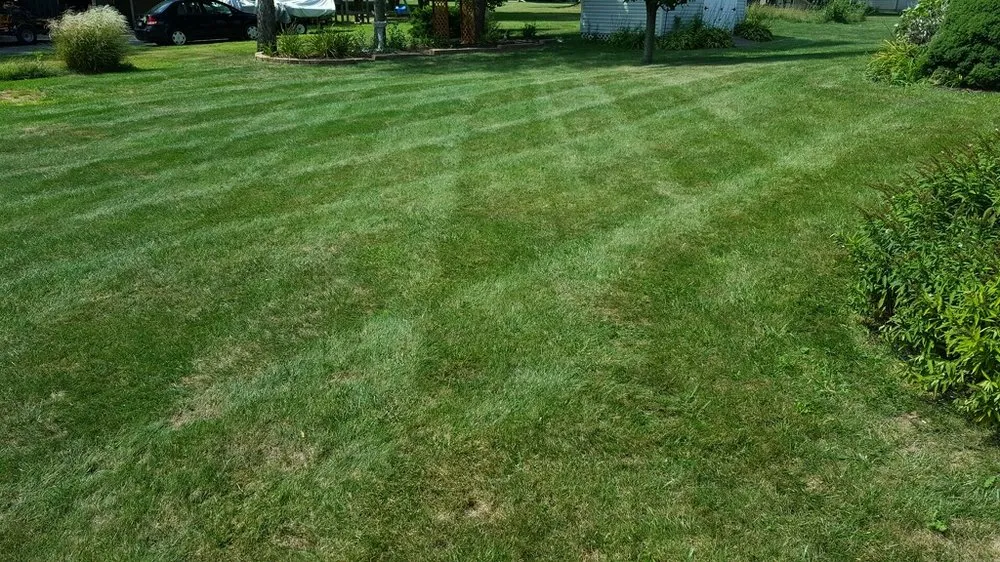 Local yard cleanup service for outdoor upgrades in Louisville, OH by RPM LawnCare