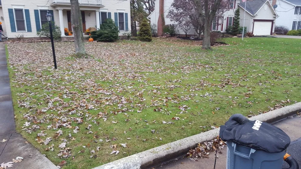 Custom garden landscaping experts serving Louisville, OH - RPM LawnCare