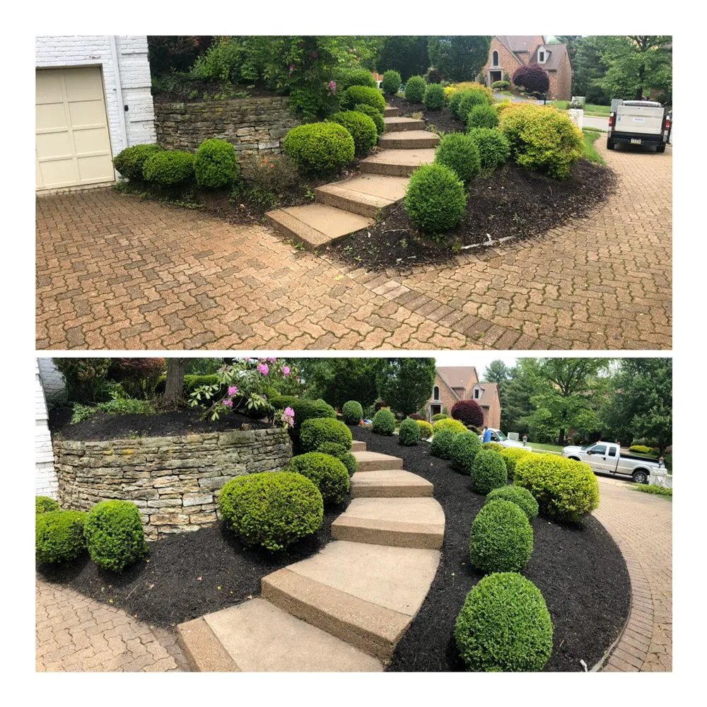 Affordable lawn care service for residential properties across West Mifflin, PA - RPM Plus Services