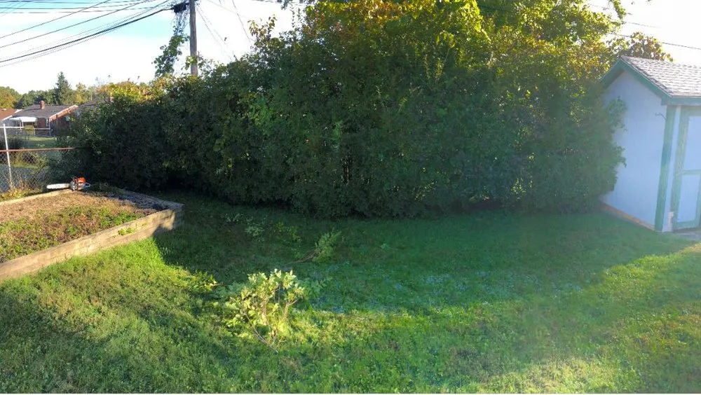 Trusted outdoor landscaping for residential properties across West Mifflin, PA - RPM Plus Services