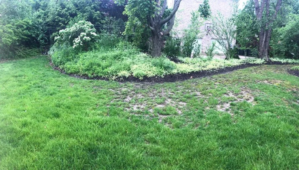 Professional landscape installation with custom design across West Mifflin, PA - RPM Plus Services