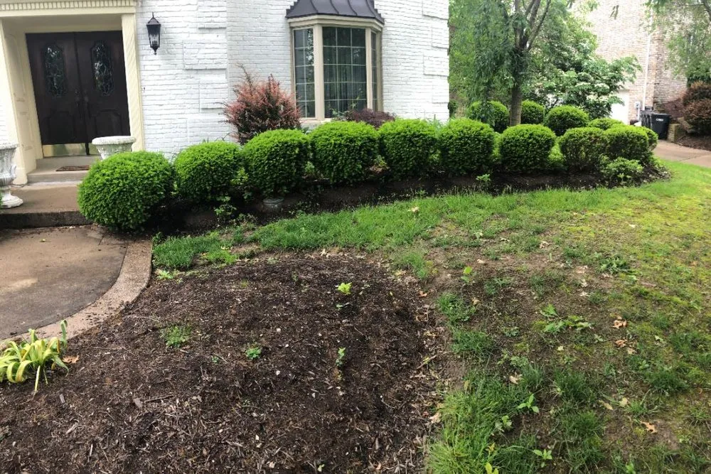 Expert landscape design in West Mifflin, PA - RPM Plus Services