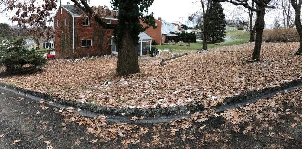 Local lawn care service in West Mifflin, PA - RPM Plus Services