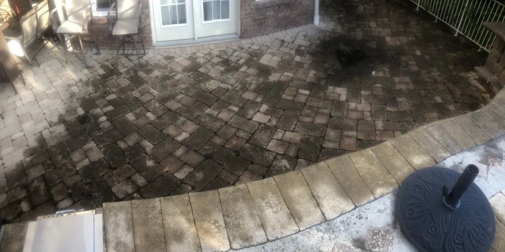 Top-rated yard cleanup service experts serving West Mifflin, PA - RPM Plus Services