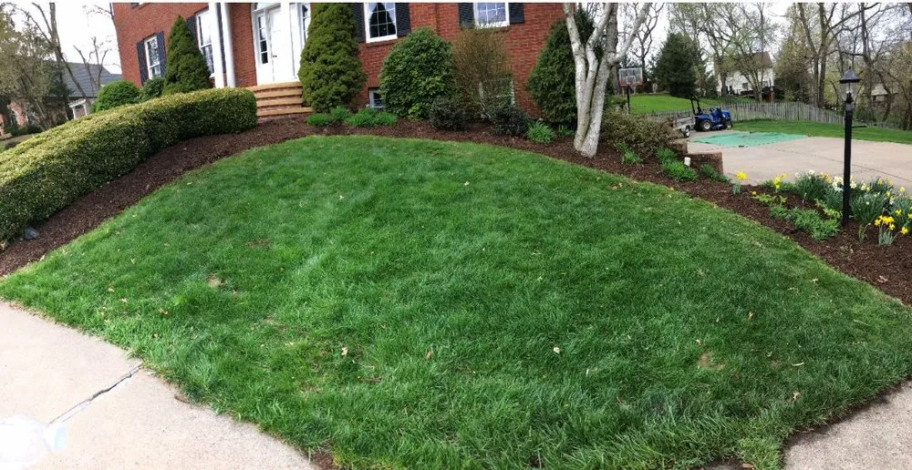 Reliable lawn care service for residential properties in West Mifflin, PA by RPM Plus Services