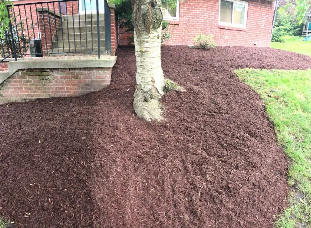 Reliable lawn care service for beautiful yards in West Mifflin, PA by RPM Plus Services