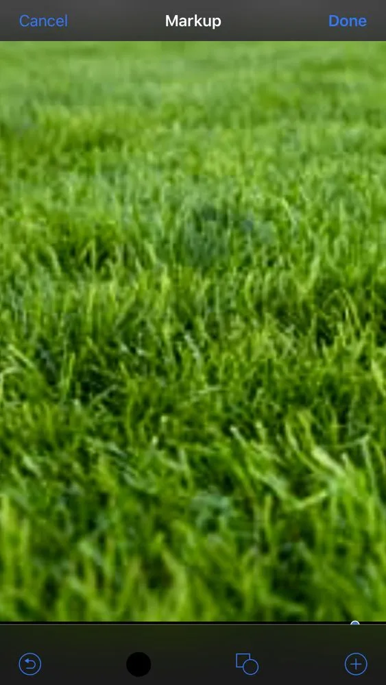 Professional garden landscaping in Cedar Rapids, IA - RPM Property Management