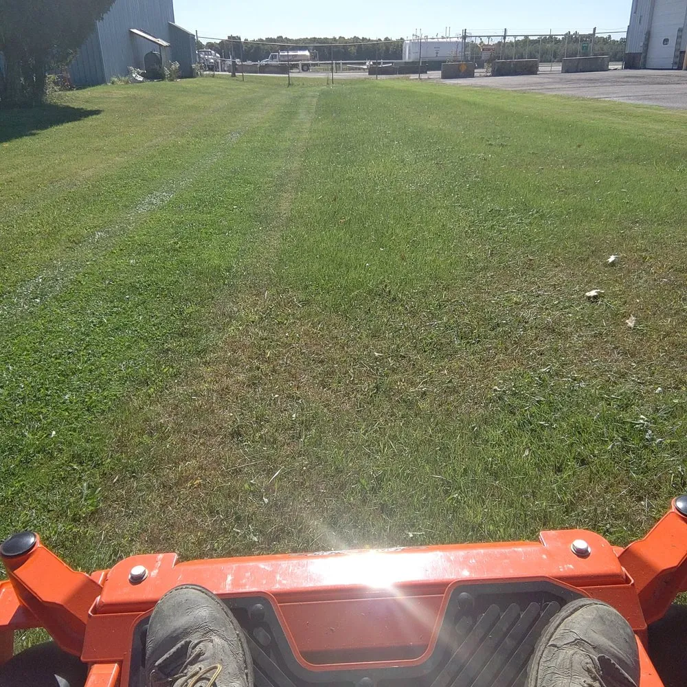 Custom yard cleanup service in Gerry, NY - RPM Razorback