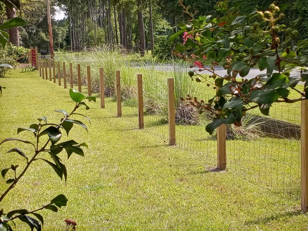 Custom yard cleanup service experts serving Walterboro, SC - Rpm Services