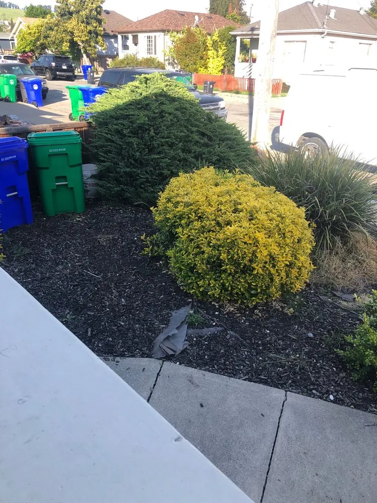 Reliable lawn care service in Shelton, WA - RPP Landscaping Services