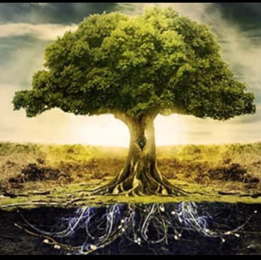 Trusted lawn mowing service for outdoor upgrades across Shelton, WA - RPP Landscaping Services