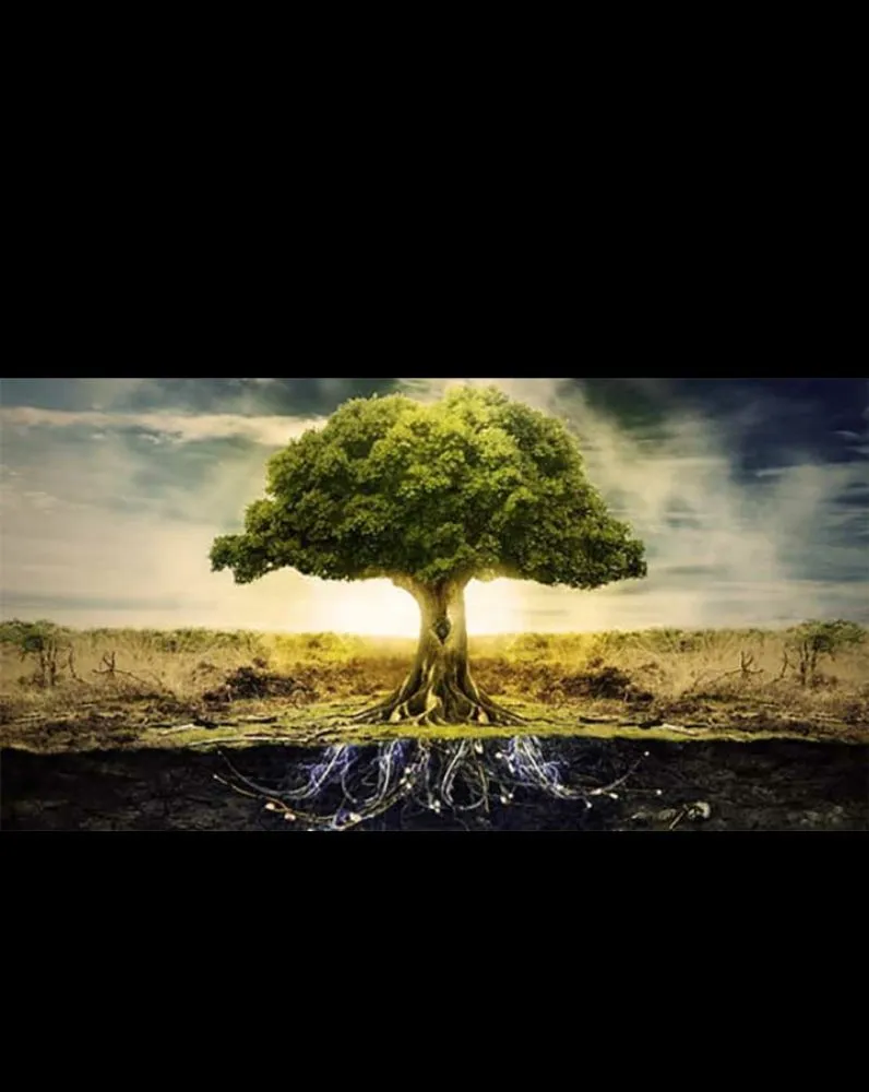 Custom garden landscaping in Shelton, WA - RPP Landscaping Services