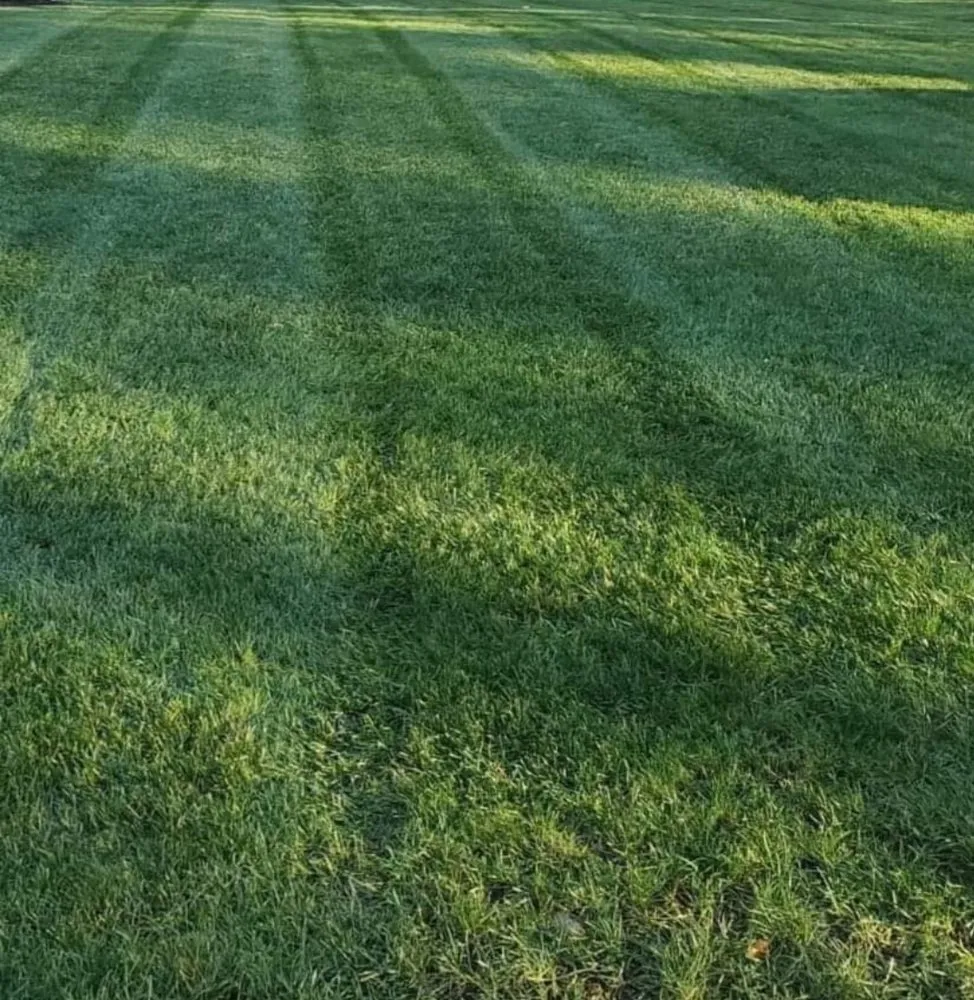Expert lawn mowing service with custom design across Pembroke, MA - Rps landscaping
