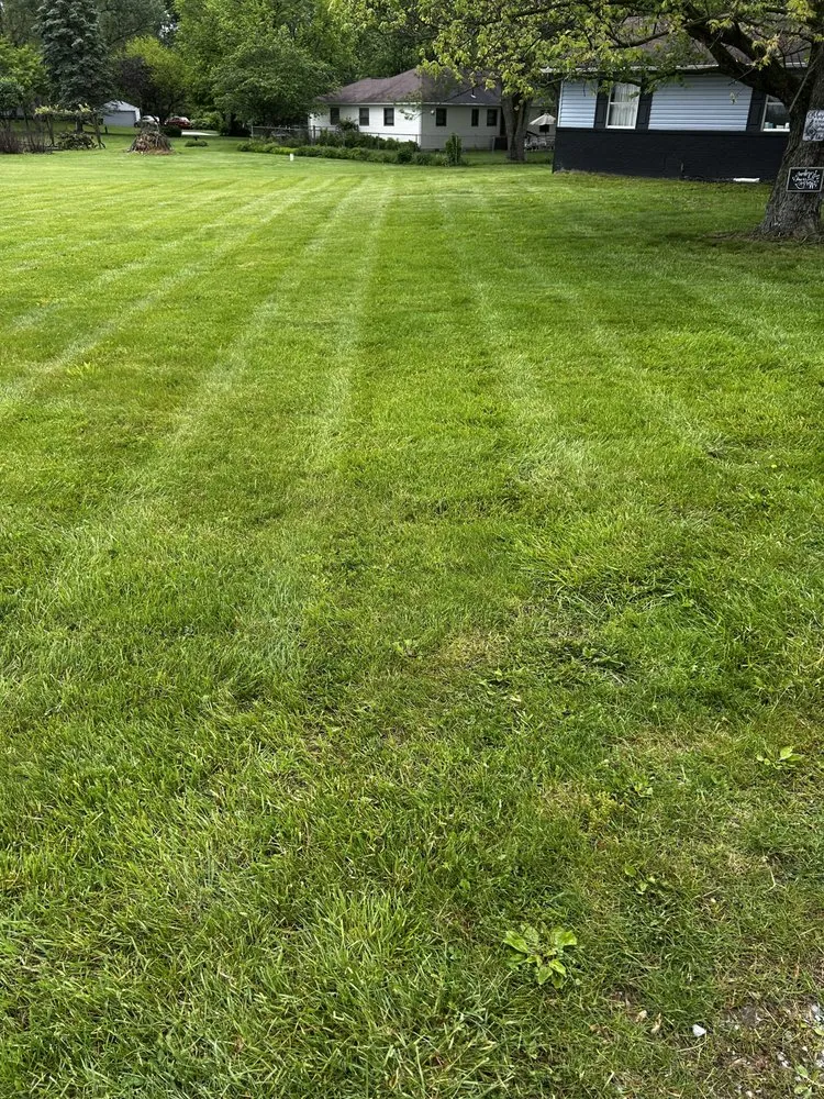 Affordable yard cleanup service for residential properties across Johnstown, OH - RPTD Property Management