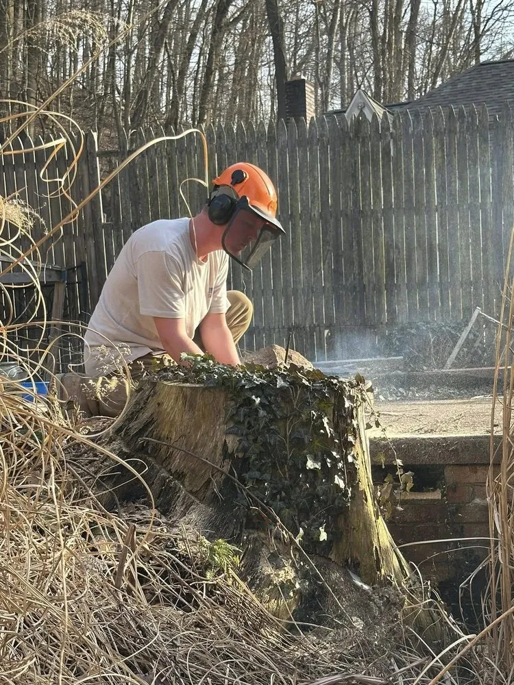 Reliable lawn care service in Allison Park, PA by R&R Construction and Excavation