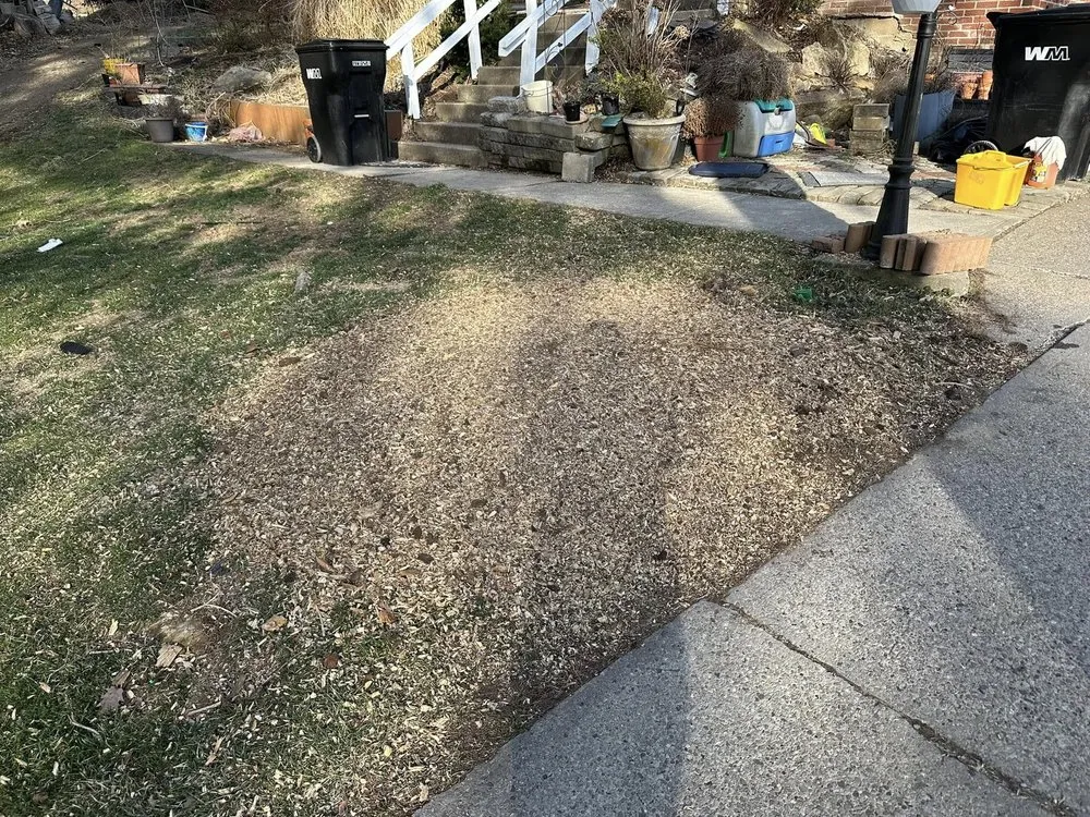 Trusted yard maintenance experts serving Allison Park, PA - R&R Construction and Excavation