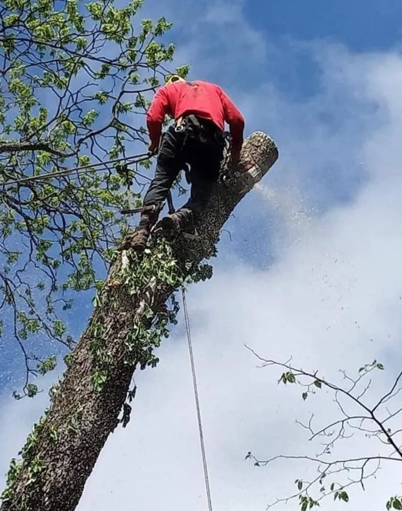 Reliable garden landscaping for beautiful yards in Upper Arlington, OH by R&R Construction and Remolding