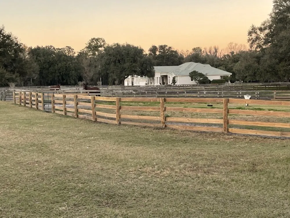 Trusted yard cleanup service experts serving Fort McCoy, FL - R&R Handyman