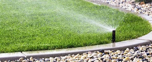 Custom yard maintenance experts serving Wildomar, CA - RR Irrigation & Landscape