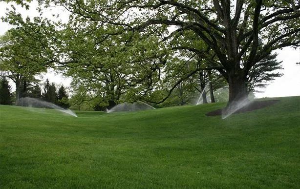 Reliable yard cleanup service in Middlesex, NJ - RR Irrigation Company