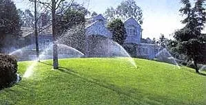 Top-rated yard cleanup service for residential properties across Middlesex, NJ - RR Irrigation Company
