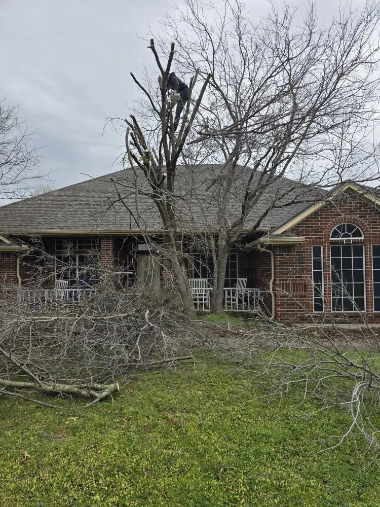 Trusted lawn care service in Fort Worth, TX - R&R Landscape & Concrete