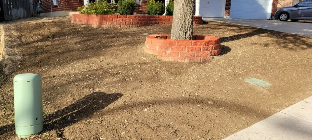 Reliable landscape design for residential properties across Fort Worth, TX - R&R Landscape & Concrete