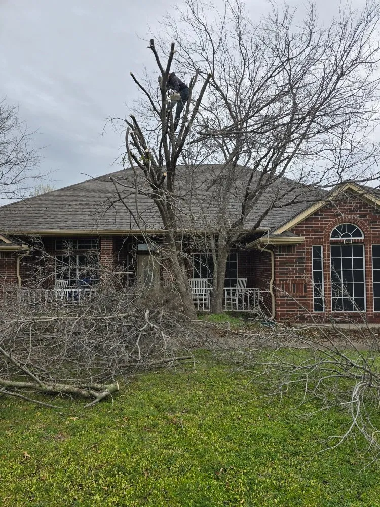 Professional landscape design in Fort Worth, TX by R&R Landscape & Concrete