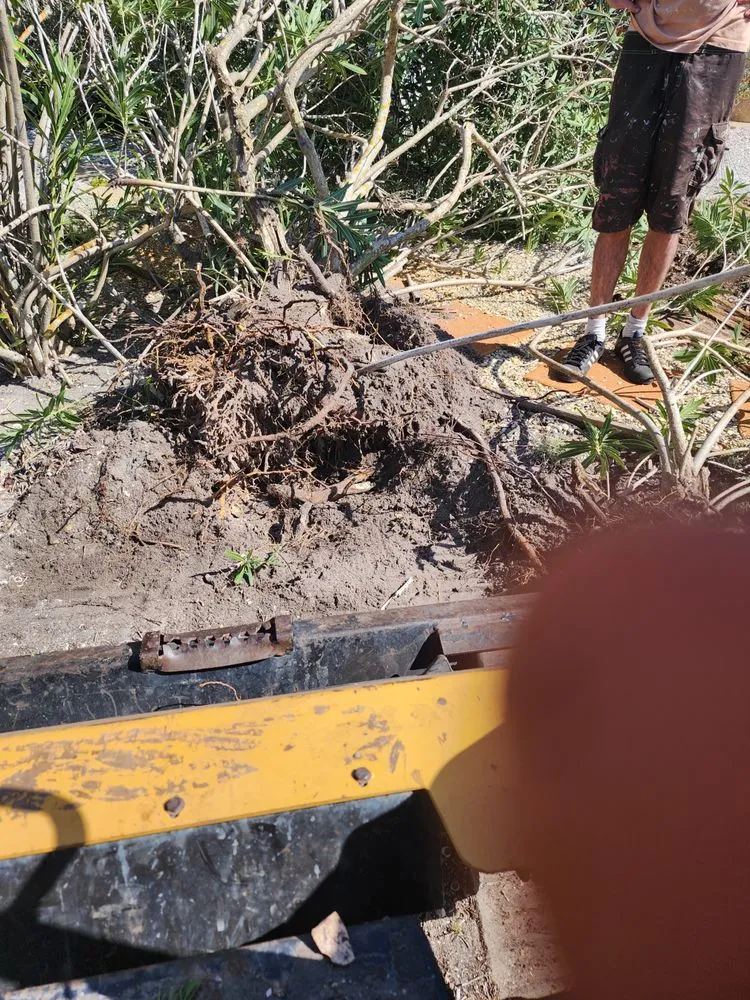 Trusted outdoor landscaping for beautiful yards in Bradenton, FL by R&R Landscape and Services