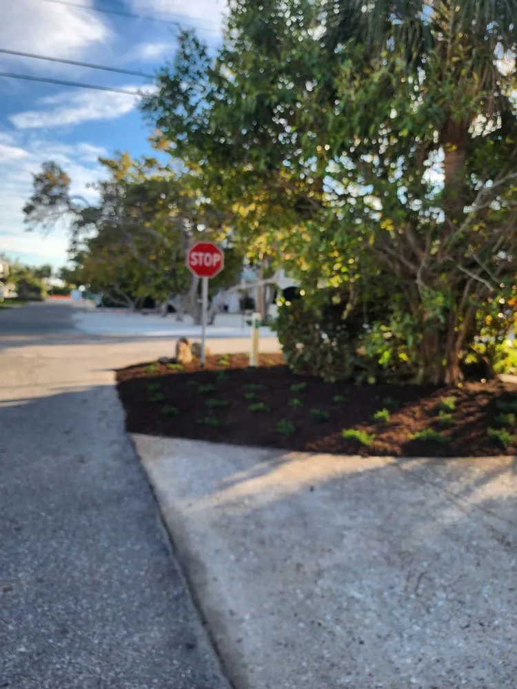 Expert yard cleanup service for homes across Bradenton, FL - R&R Landscape and Services