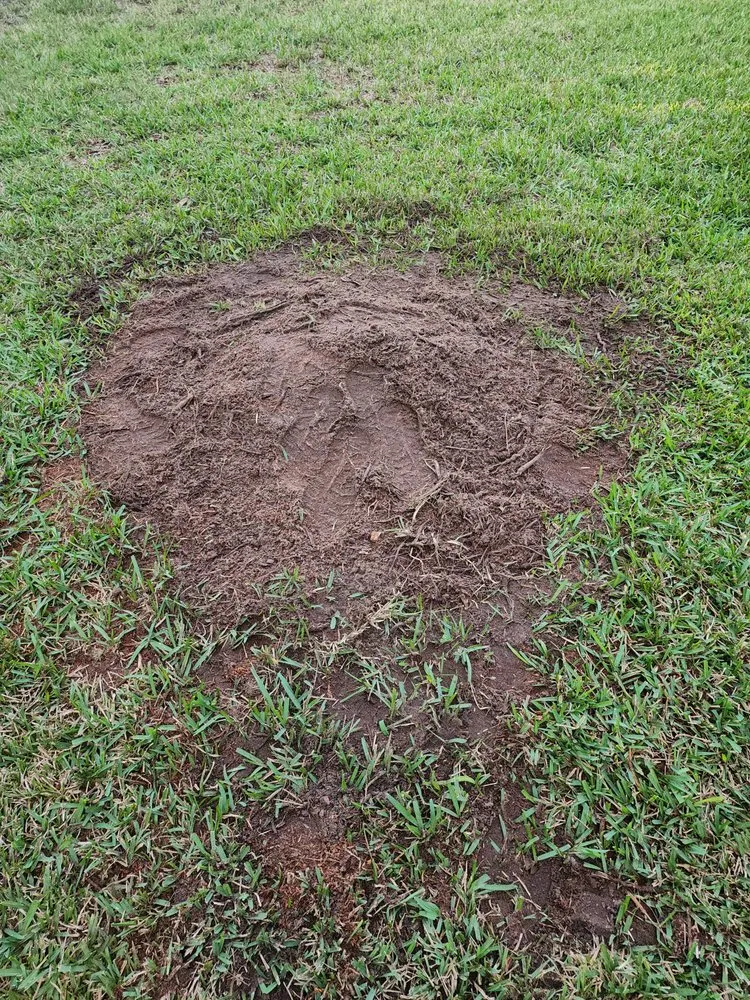 Affordable landscaping services experts serving Bradenton, FL - R&R Landscape and Services