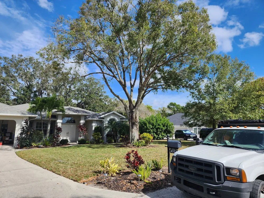 Affordable landscape design in Bradenton, FL by R&R Landscape and Services