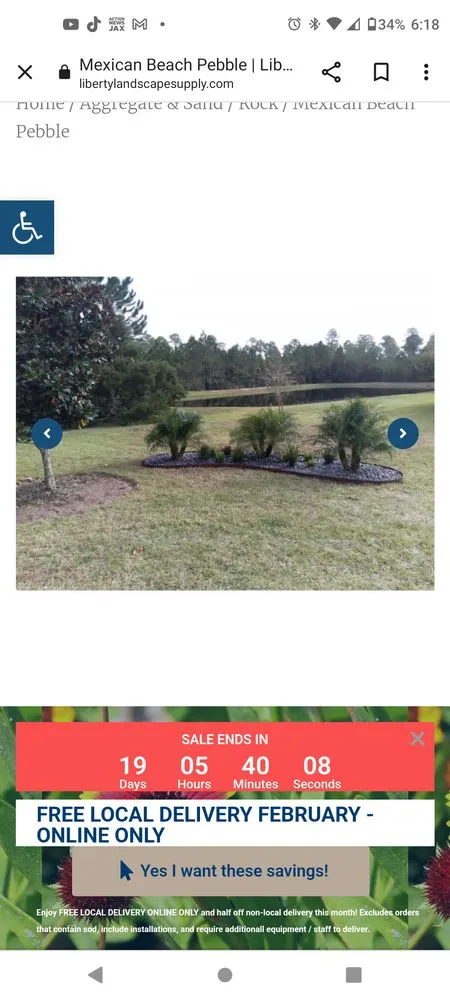 Professional yard cleanup service in Jacksonville, FL - R&R landscaping & lawn maintenance