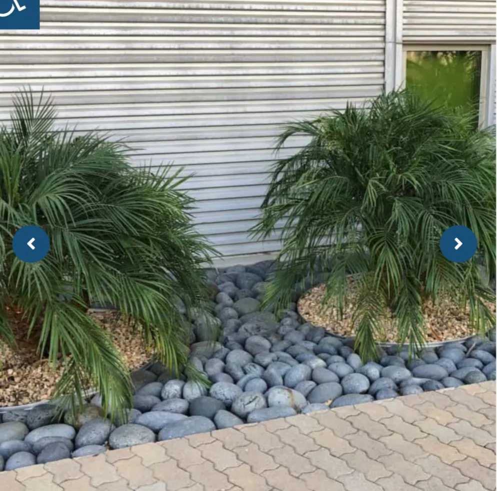 Trusted landscaping services in Jacksonville, FL by R&R landscaping & lawn maintenance