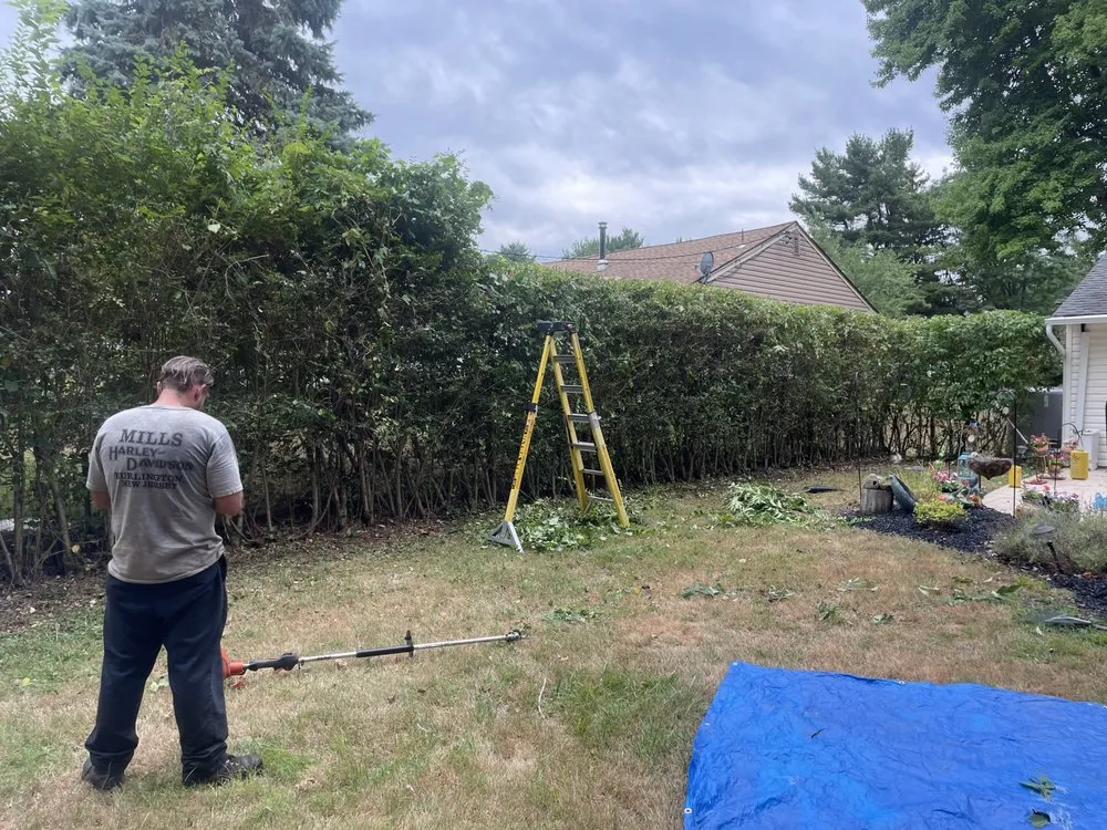 Professional outdoor landscaping experts serving Levittown, PA - R&R Landscaping and Property Maintenance